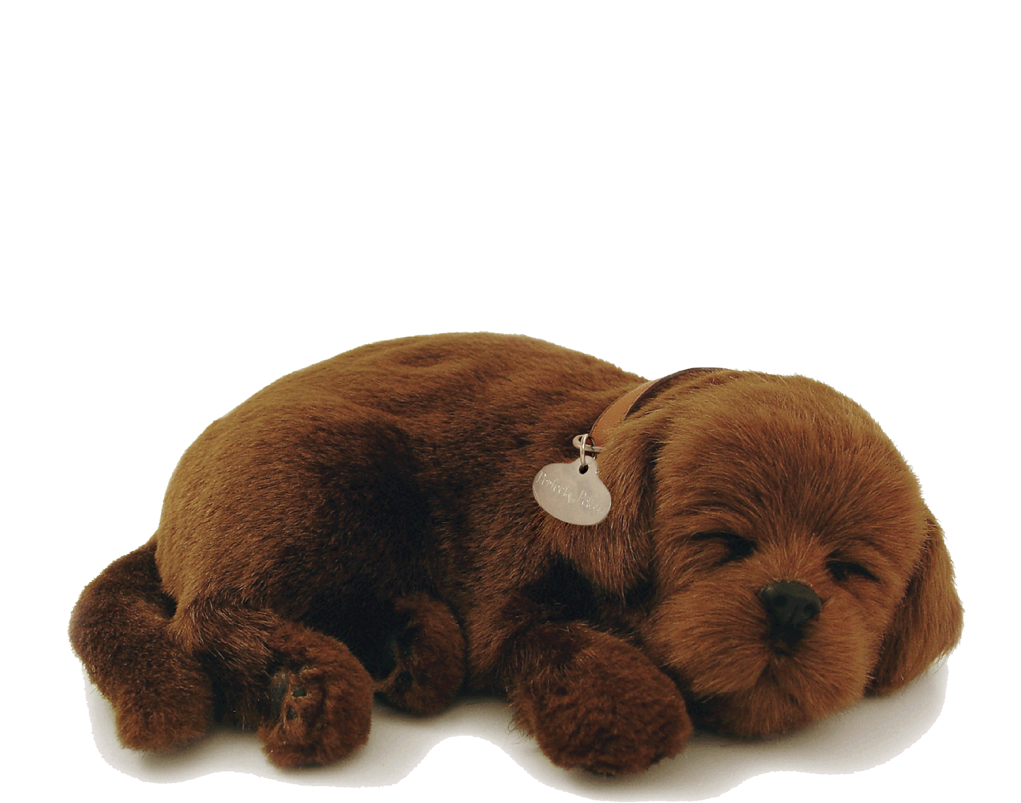 Brown, Perfect Petzzz Beagle Animated Pet 